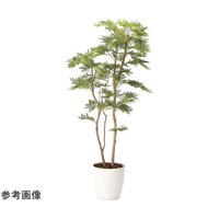 アートクリエイション ネムノ木 1.8(ポリ製) 2106A460