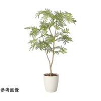 アートクリエイション ネムノ木 90(ポリ製) 2428A150
