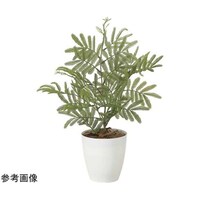 アートクリエイション ネムノ木(ポリ製) 2254A50