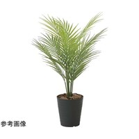 アートクリエイション パームツリー 65(ポリ製) 2235A65