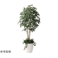 アートクリエイション パキラ 1.8 植栽付 412P515