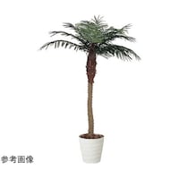 アートクリエイション フェニックス 2.1(組立式) 138H650
