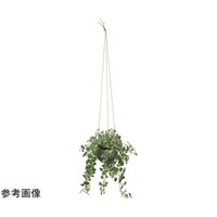 アートクリエイション プミラハンギング 2583A150