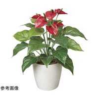 アートクリエイション フレッシュアンスリューム M 390A60