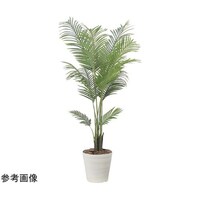 アートクリエイション フレッシュパーム 1.5 2566A370