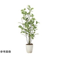 アートクリエイション ポリシャス 1. 15 2028A180