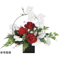 �A�[�g�N���G�C�V�����@�z���C�g���_���@�X�Q�P�j�X�O