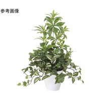 アートクリエイション ミックスフレッシュアセビ 2612A100
