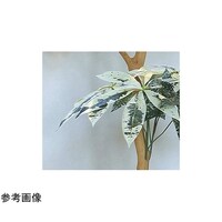 アートクリエイション ミルキーパキラ 1.8 2455A420