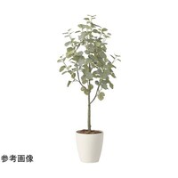 アートクリエイション ユーカリツリー 1.35 2432A220