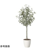 アートクリエイション ユーカリツリー 1.65 2425A320