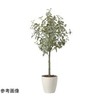 アートクリエイション ユーカリツリー 1.85(組立式) 2436A450
