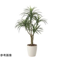 アートクリエイション ユッカ 90 622A140