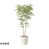アートクリエイション ライトトネリコ 1.8 2413P470