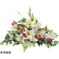 �A�[�g�N���G�C�V�����@���C�[�Y�����[�@�Q�T�S�W�`�P�T�O