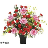 �A�[�g�N���G�C�V�����@���b�h�X�^�[���[�Y�@�Q�R�V�Q�`�P�T�O