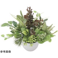アートクリエイション 寄セ植エユーカリ 2563A40