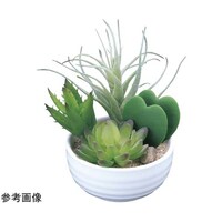 アートクリエイション 寄セ植エラブリー(ポリ製) 232A40