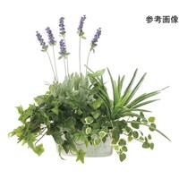 アートクリエイション 寄セ植エラベンダー 2349A100