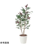 アートクリエイション 南天 1.3 405B200