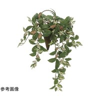 アートクリエイション 壁掛ケツートンホヤ 2218A90