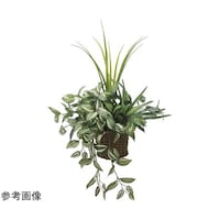 アートクリエイション 壁掛ケナチュラルグラス 281P80