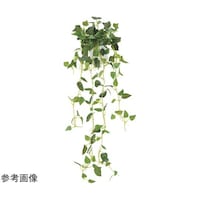 アートクリエイション 壁掛ケフィロ 2489A45