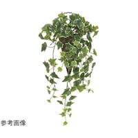 アートクリエイション 壁掛ケ斑入リアイビー 2274A70