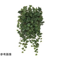 アートクリエイション 壁面緑化アイビー 442C70