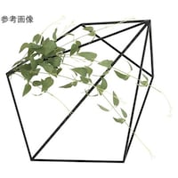 アートクリエイション 壁面緑化リキュウソウ 2002K130