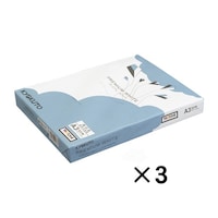 日本ノート プレミアムホワイト A3 青箱 1箱(500枚×3冊入) PPCKA303