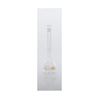 イワキ メスフラスコ 100mL S75102404