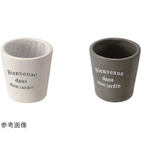 エコー金属 セメント鉢(フランス語)1箱(6個入) 1549699
