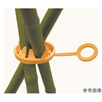 ���r�j�[���@�O�r�x���^�Ӂ@�V�����~�k�P�Q�O����