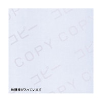 サンワサプライ 【5個セット】 マルチタイプコピー偽造防止用紙(B5)100枚 JPMTCBB5NX5