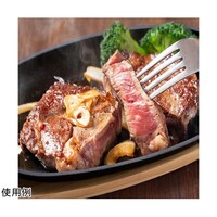イシガキ産業 鉄鋳物 小判ステーキ皿1枚組 敷板・ハンドル付 MMT4542
