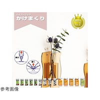 東洋工芸 【120個セット】 石こうボード壁専用フック かけまくり 押すだけカンタン ポスターワッシャ HHT411BS2X120