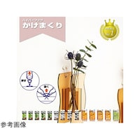東洋工芸 【120個セット】 石こうボード壁専用フック かけまくり 押すだけカンタン メタルフックミニ HHT21MBS2X120
