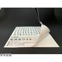 大東化工 daitobino(旧ぴたこん)レーザー用ラベル 光沢ホワイト A3 BINOLNA3W 1包(50枚入) LNA3W