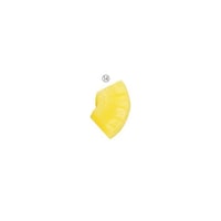 アズワン 食品サンプル (14)パイン ※2個以上から注文可能(販売価格は1個単位の価格)