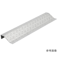 岩田製作所 ステップ スロープタイプ STEP1050