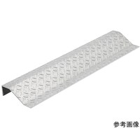 岩田製作所 ステップ スロープタイプ STEP1100