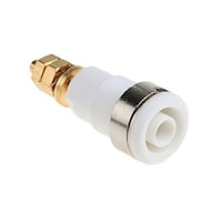 �l���������b�������������@�S�����\�P�b�g�@�i���X�j�@���@���߂����@�P�܁i�Q���j�@�Q�R�D�R�O�Q�O�Q�X