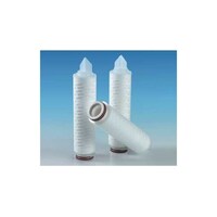 PALL 【食品・飲料製造用】エンフロンPFR(10インチ) AB1PFR7WH4