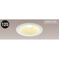 JAPPY LED防雨防湿ダウンライト 2700K(電球色) 695lm JBK7009W27