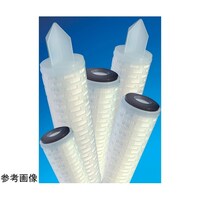 PALL ポリファイン2 10インチ 0.45μm PFT 0.4510USM3W 480