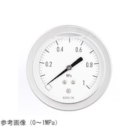 長野 グリセリン入圧力計(75Φ) 1MPa GV56183