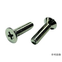 コノエ 皿小ねじ 真鍮 ニッケル 3×6 FLATSSBRNI36