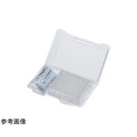 サーモフィッシャー 仕様認証付スクリューバイアルキット 透明 ラベル付 2mL 赤/白/青 100組 6AK92W