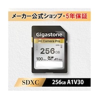 Gigastone UHS1,U3,C10 SDXCカード 256GB GJSXR4K256GV3A1